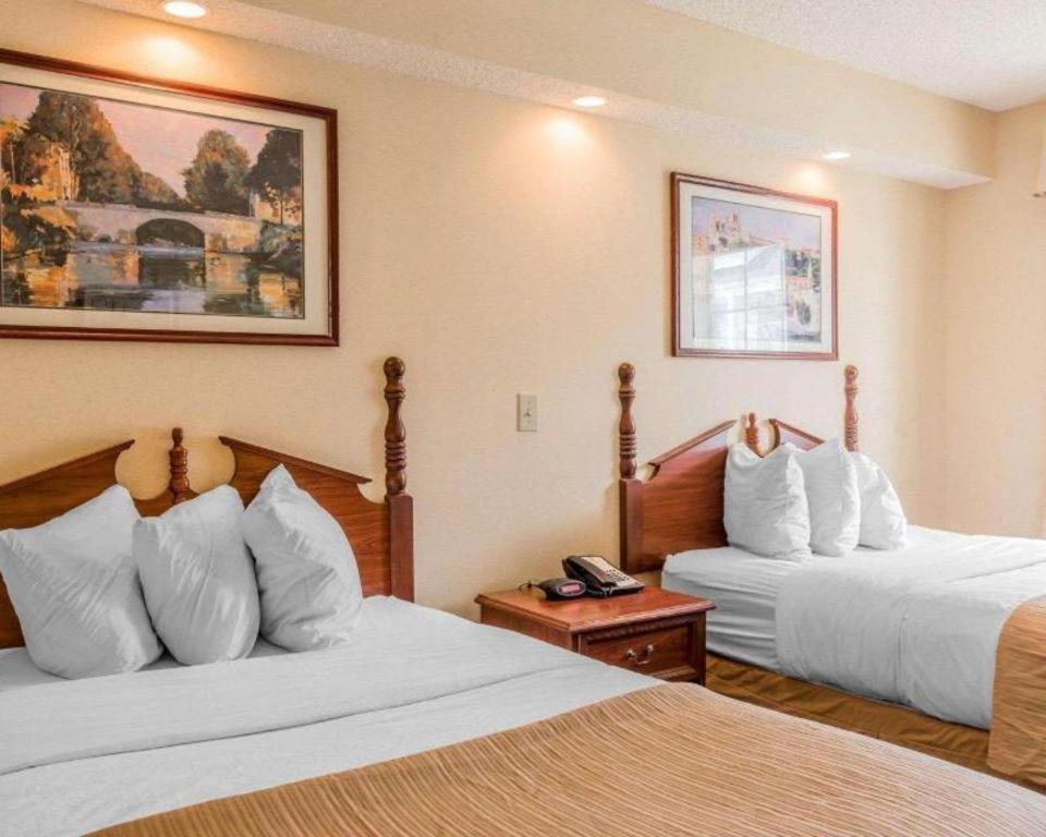 Rodeway Inn Sylacauga Hwy 280 Buitenkant foto