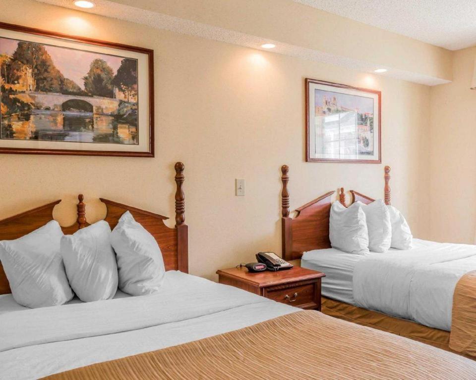 Rodeway Inn Sylacauga Hwy 280 Buitenkant foto