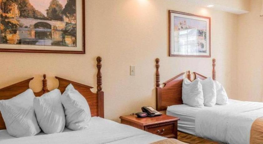 Rodeway Inn Sylacauga Hwy 280 Buitenkant foto