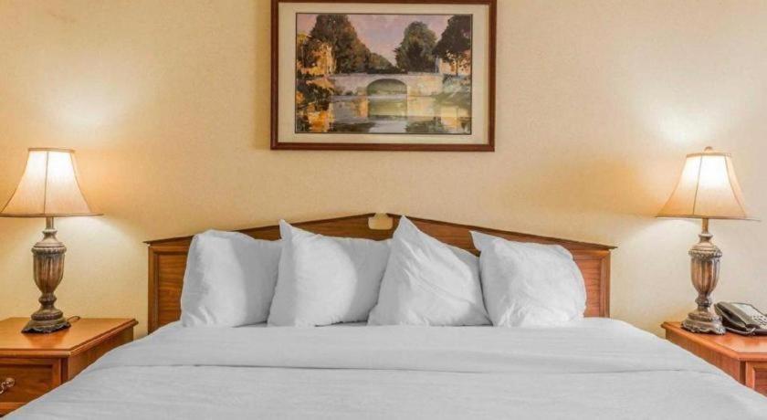 Rodeway Inn Sylacauga Hwy 280 Buitenkant foto