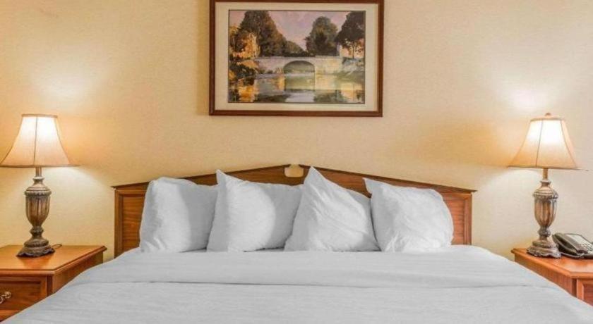 Rodeway Inn Sylacauga Hwy 280 Buitenkant foto